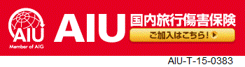 AIU国内旅行保険
